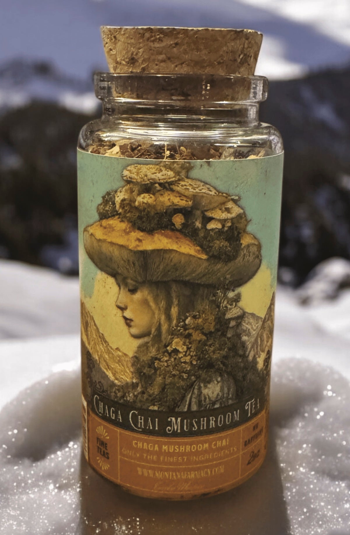 Chaga Chai Mushroom antioxidant Tea Spice in corked Jar - Foxy’s