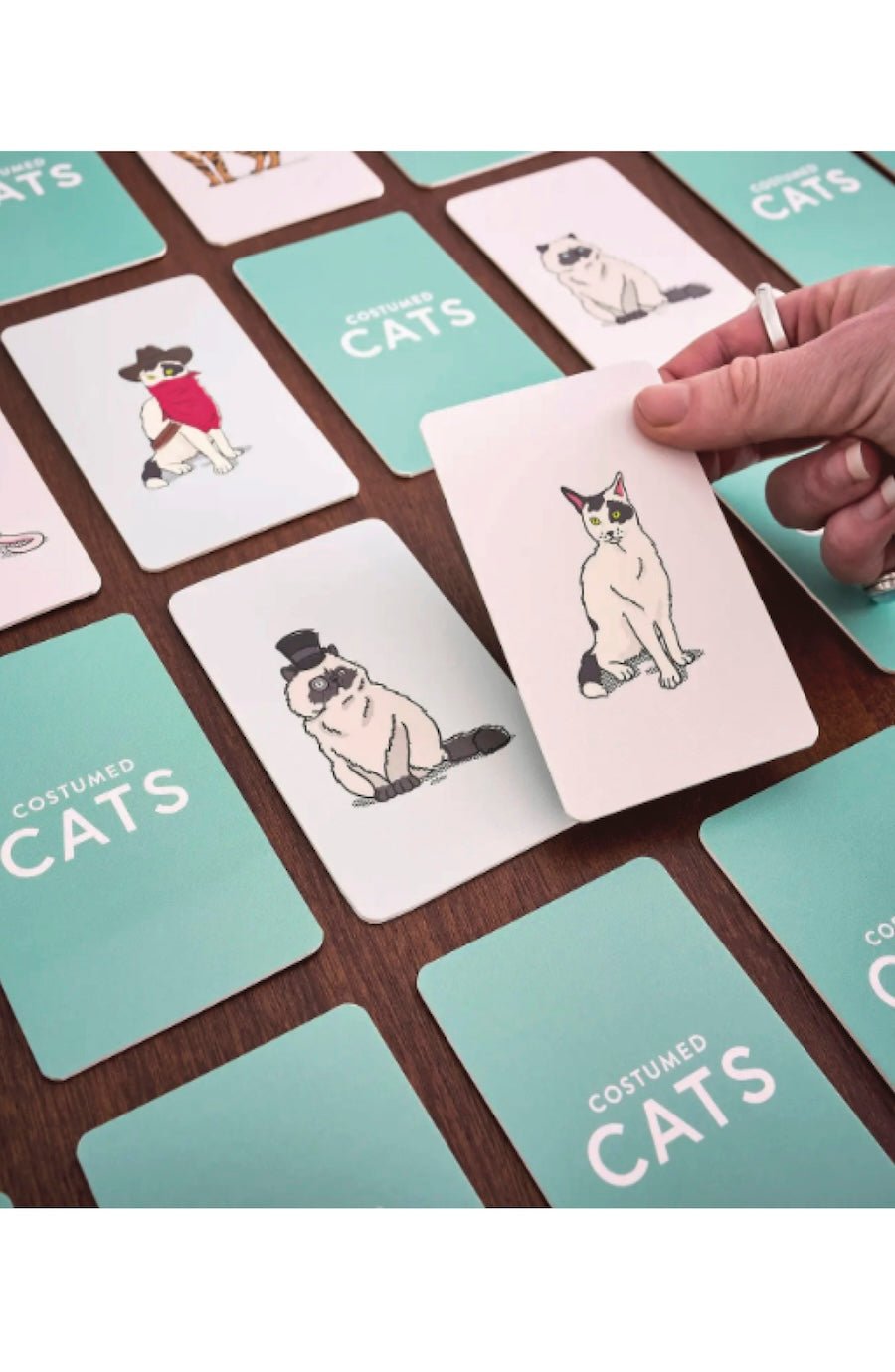 Costumed Cats Memory Card Games - Foxy’s