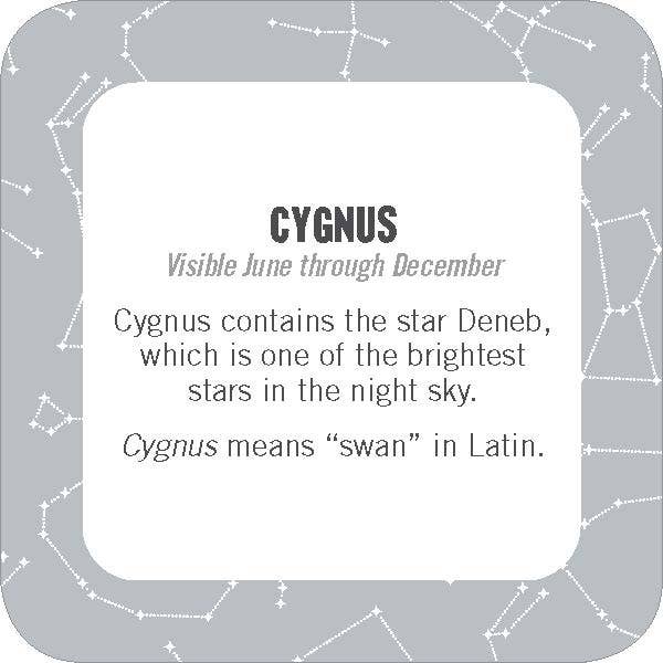 On - the - Go Amusements: 50 Constellations for Stargazing - Foxy’s