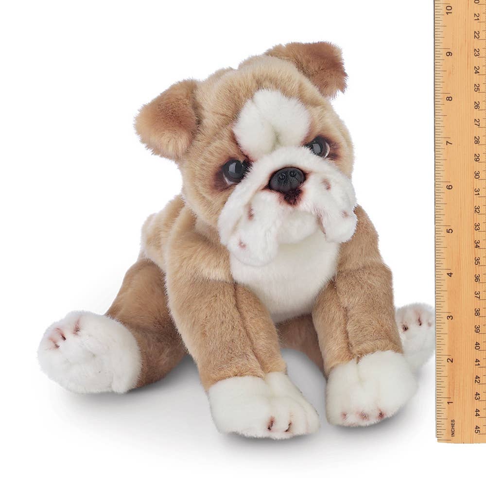 Tug the Bulldog Stuffed Animal - Foxy’s