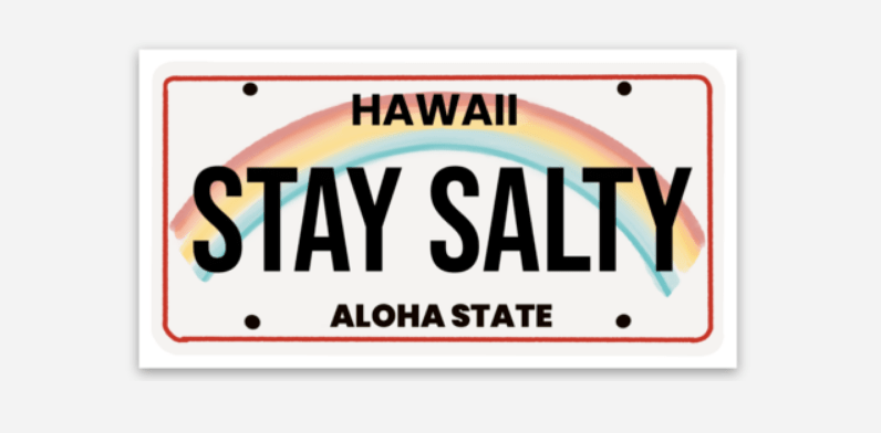 Waterproof Salty State Plate Stickers - Foxy’s