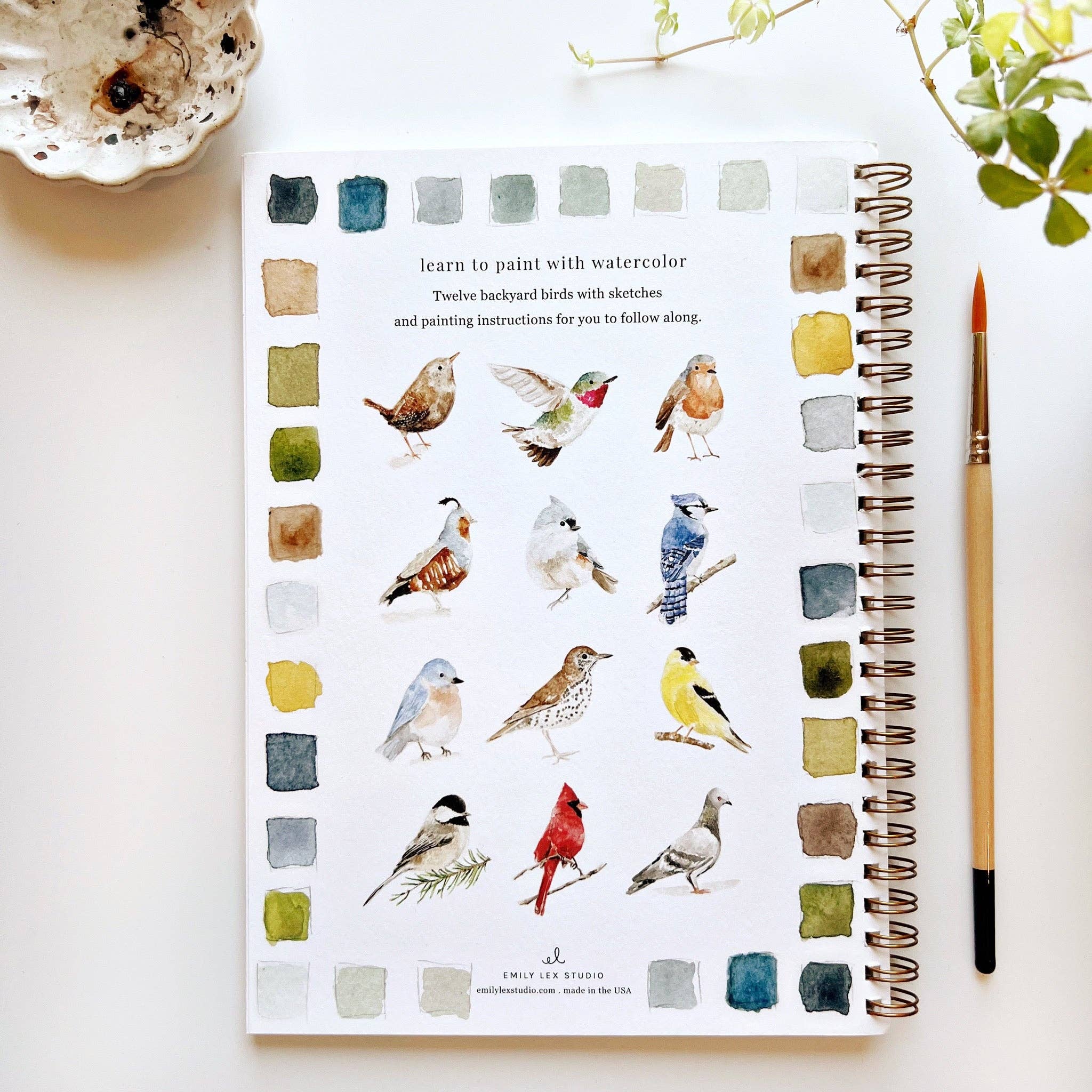 Birds watercolor workbook - Foxy’s
