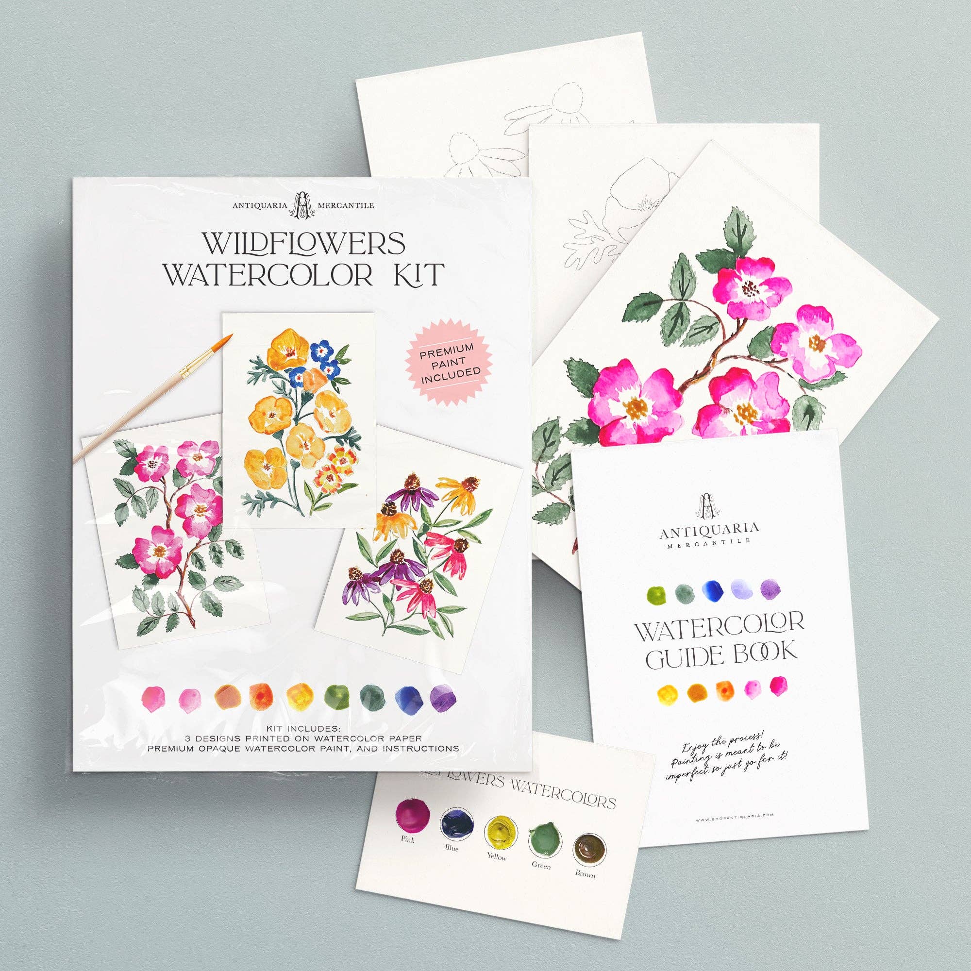 Watercolor Painting Kit : Wildflowers No1 - Foxy’s