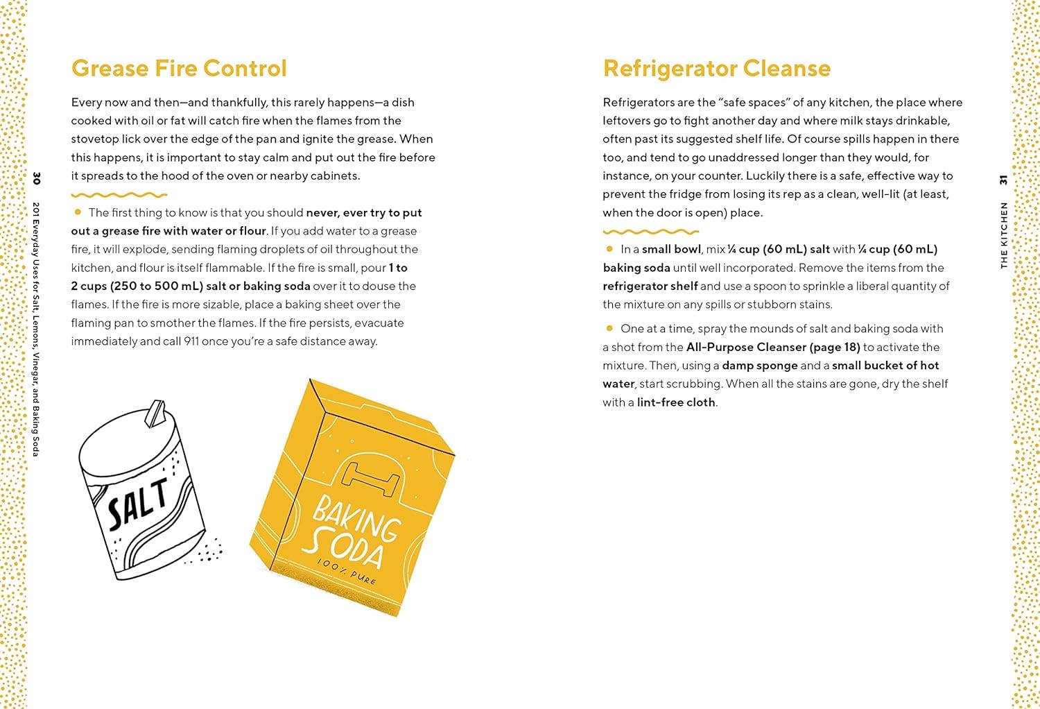 201 Everyday Uses for Salt, Lemons, Vinegar, and Baking Soda Book - Foxy’s