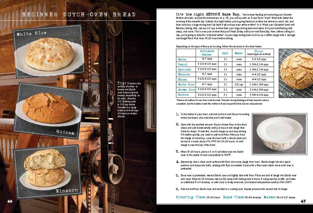 Wild Bread: Sourdough Reinvented Cookbook - Foxy’s