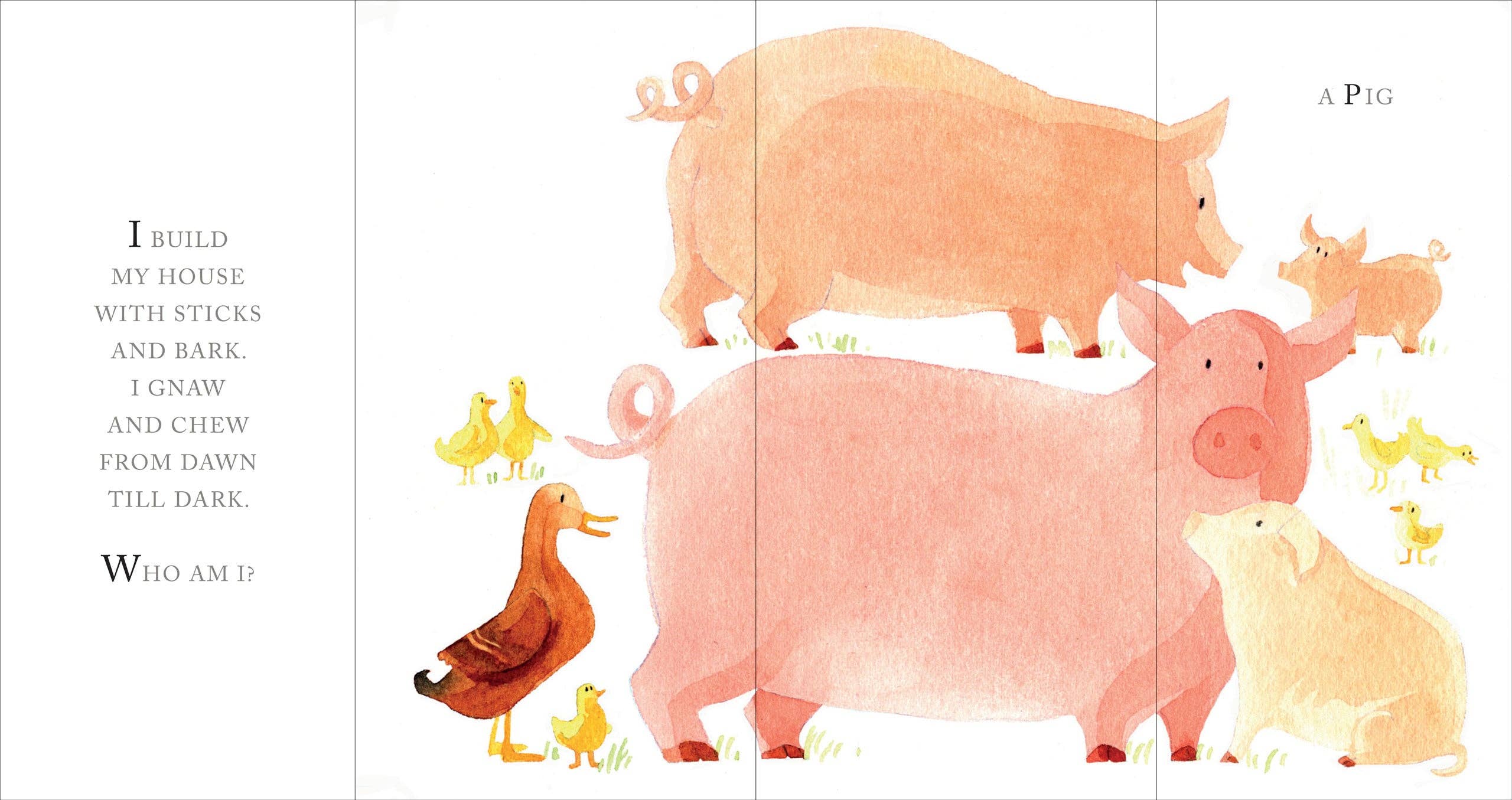 Illustration of pigs and other animals from a children's book