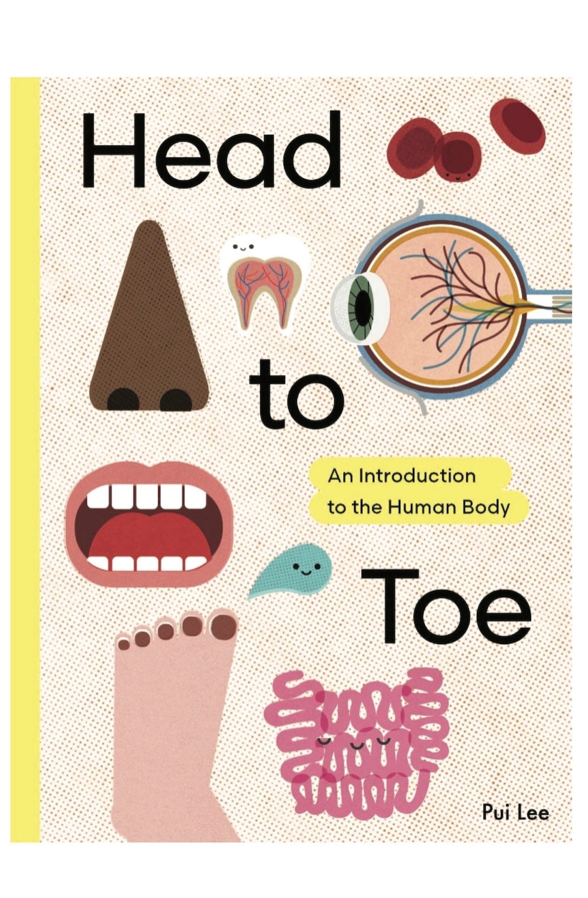 Head to Toe Book - Foxy’s