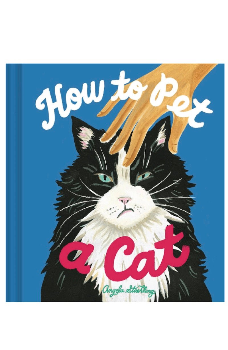 How to Pet a Cat: A Fun Guide for Kids & Adults | Foxy's - Foxy’s