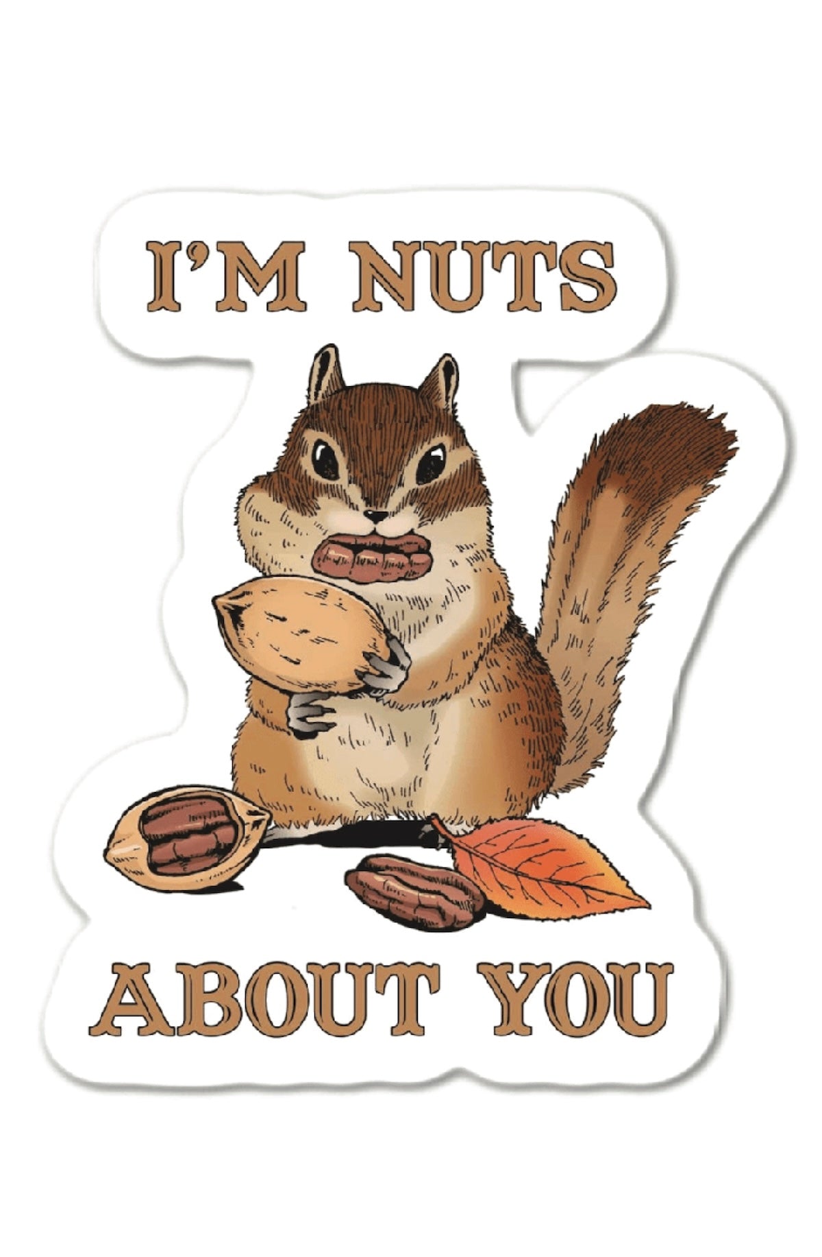 I'm Nuts About You Funny Squirrel Sticker - Foxy’s