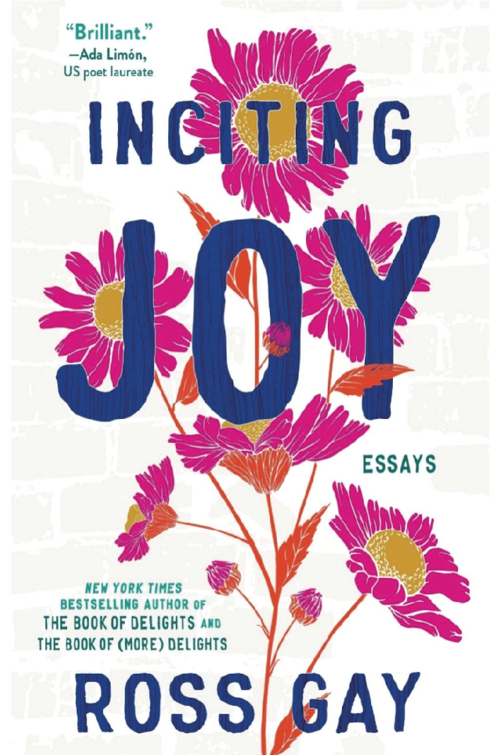 Inciting Joy Book - Foxy’s