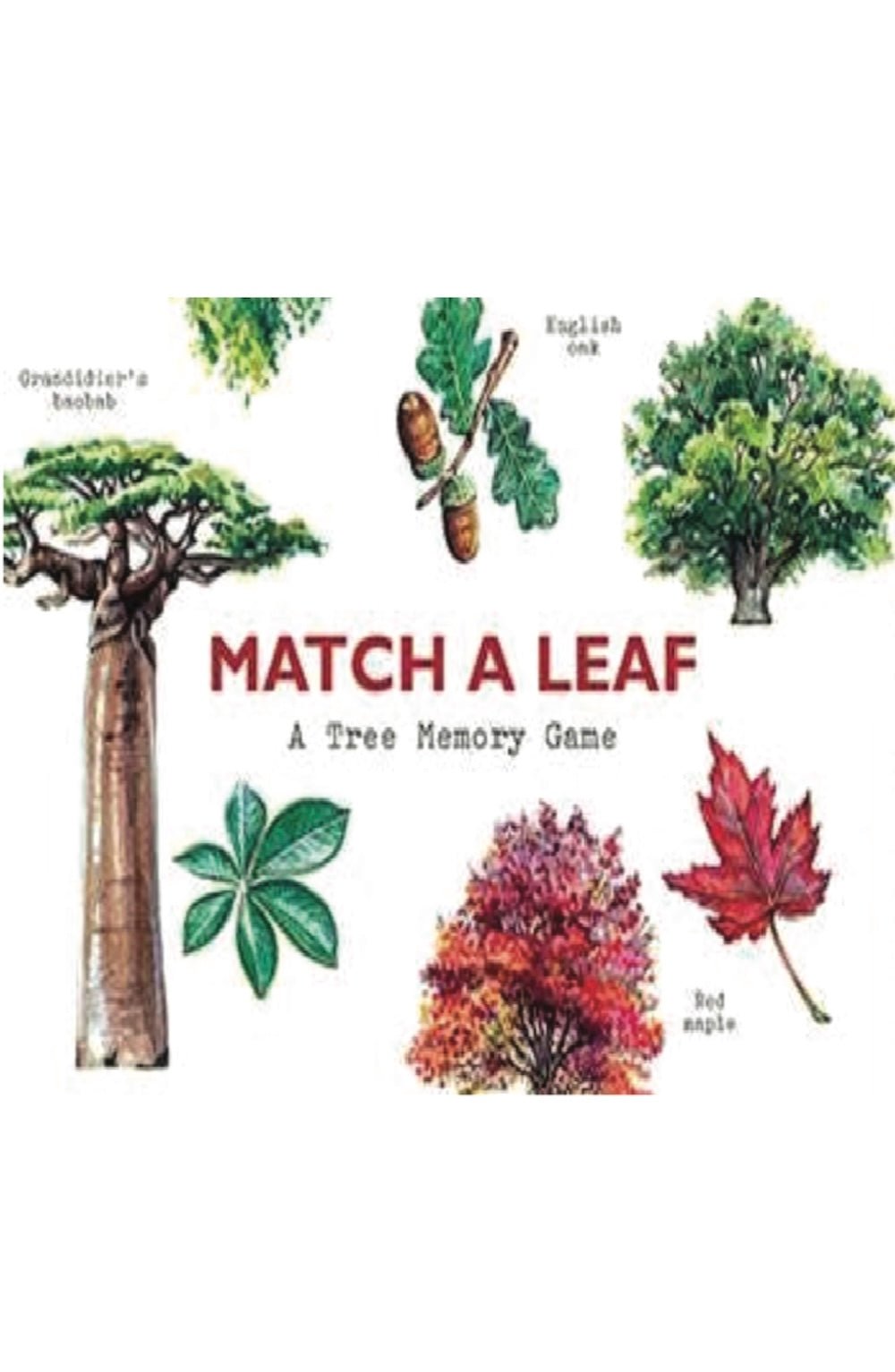 Match a Leaf Game - Foxy’s
