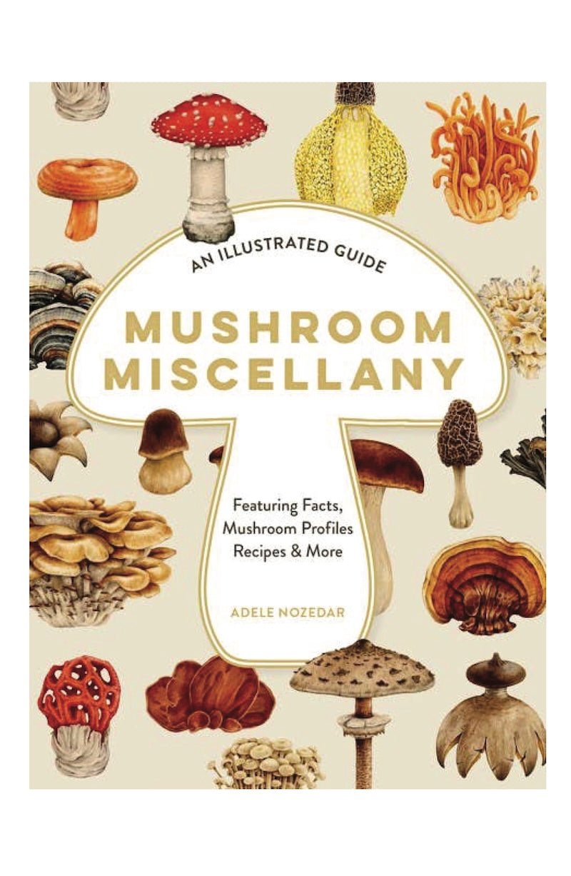 Mushroom Miscellany by Adele Nozedar - Illustrated Guide & Cookbook - Foxy’s