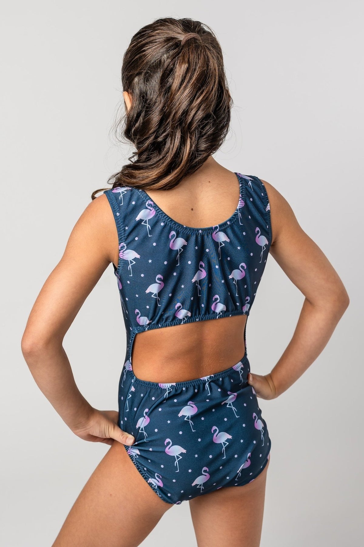 Navy Leotard | Ombre Flamingo Fiesta Leotard - Foxy’s