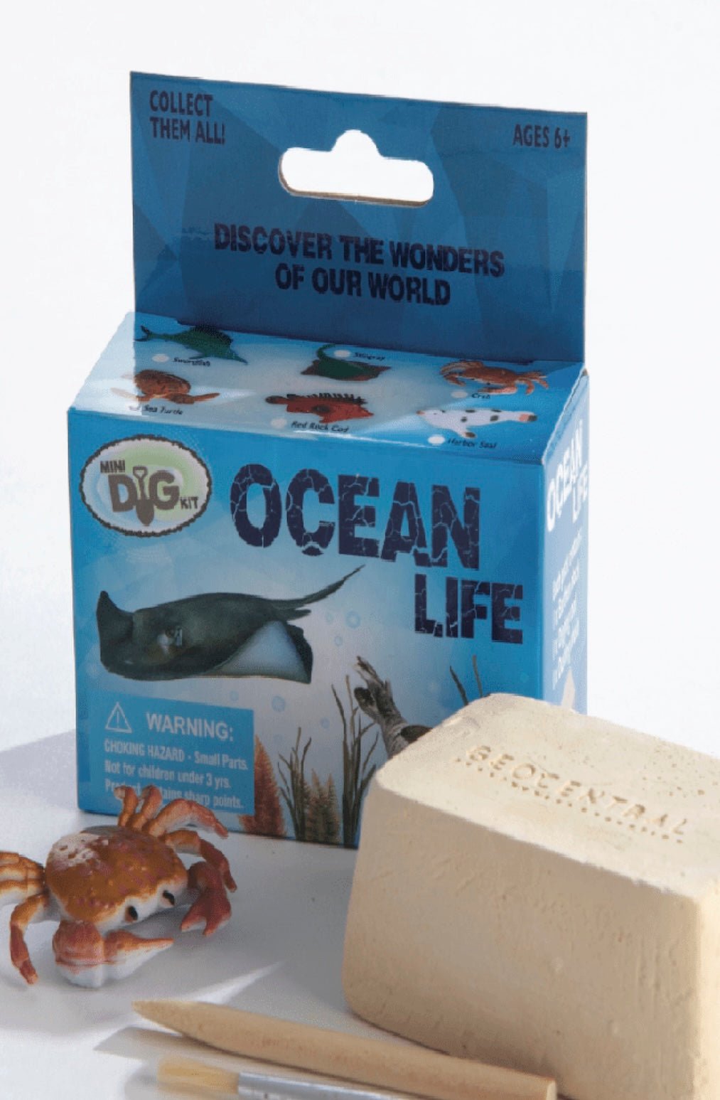 Mini Dig Kit: Ocean Life - Foxy’s