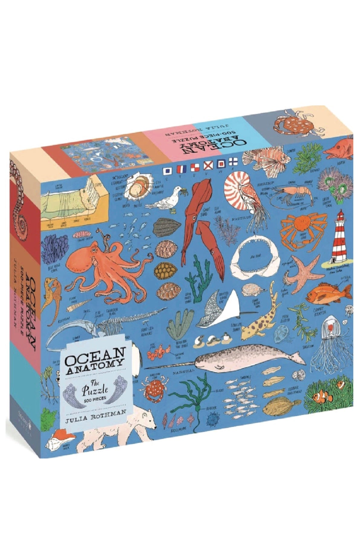 Ocean Anatomy: The Puzzle (500 pieces) - Foxy’s