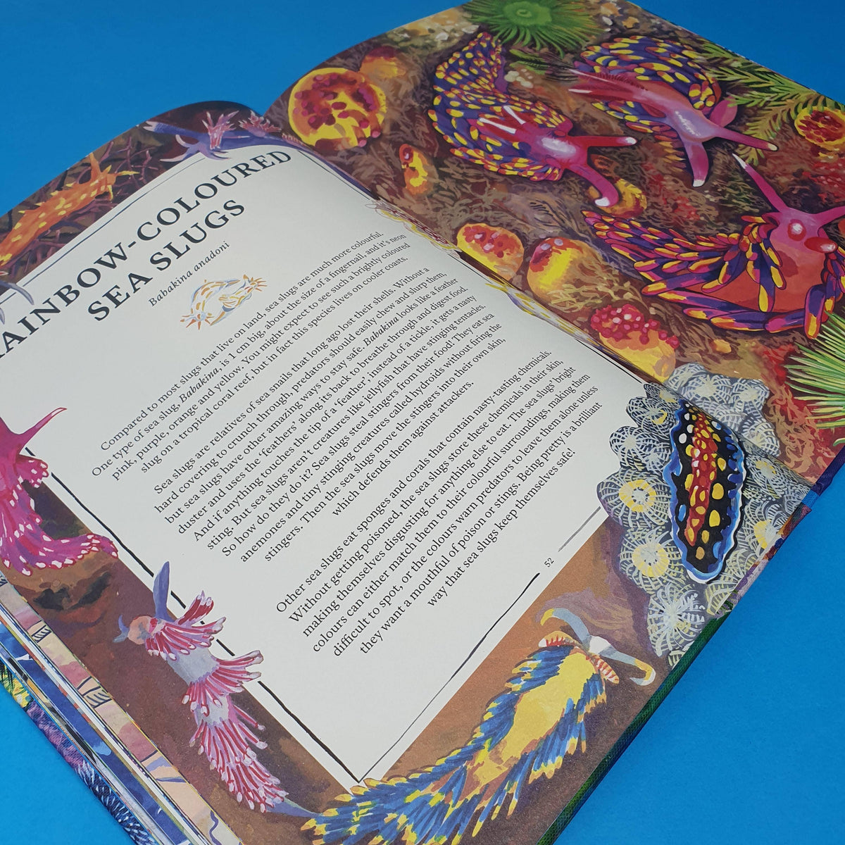 Open book with colorful illustrations of sea slugs on a blue background