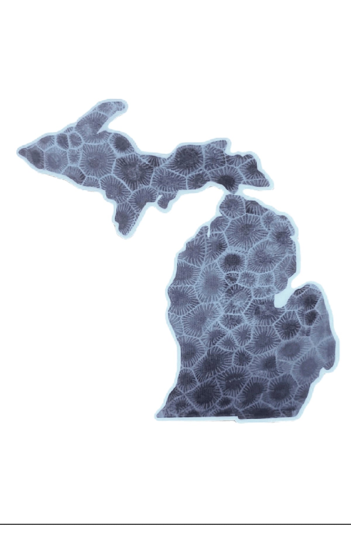 Michigan Gray Petoskey Stones - Decal - Foxy’s