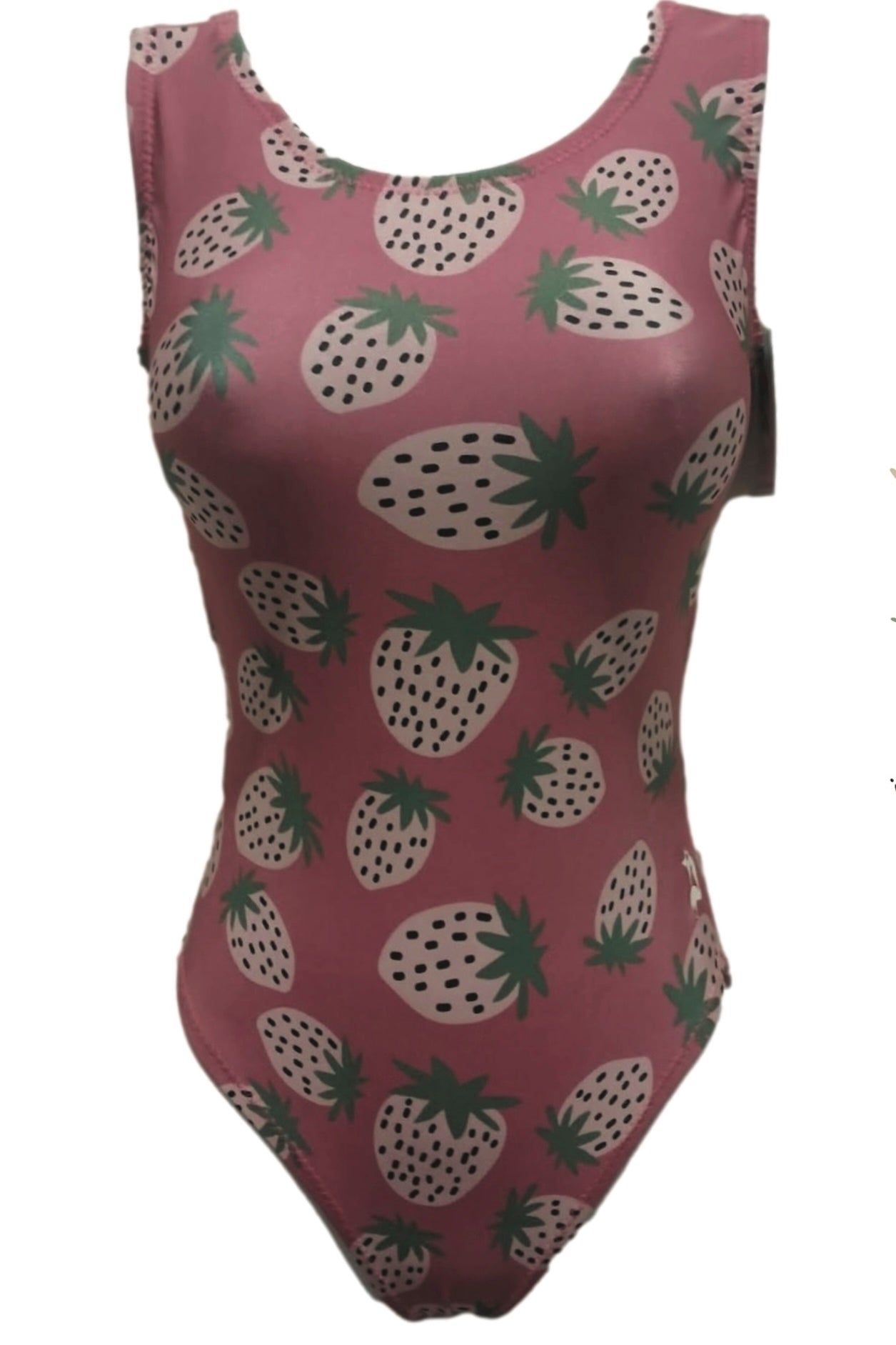 Fresh Strawberries Gymnastics Leotard - Foxy’s