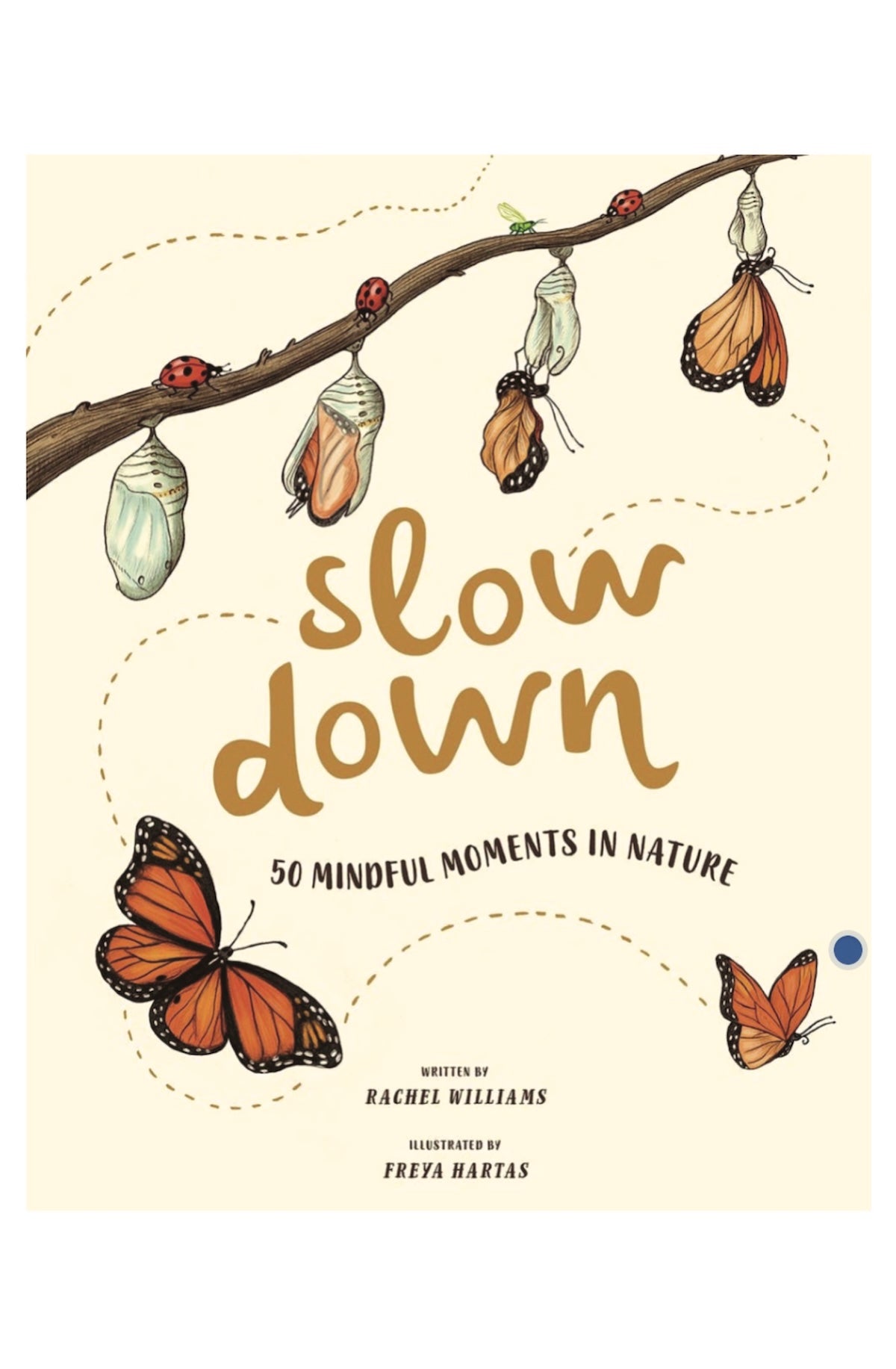 Slow Down - A Book of Mindfulness - Foxy’s