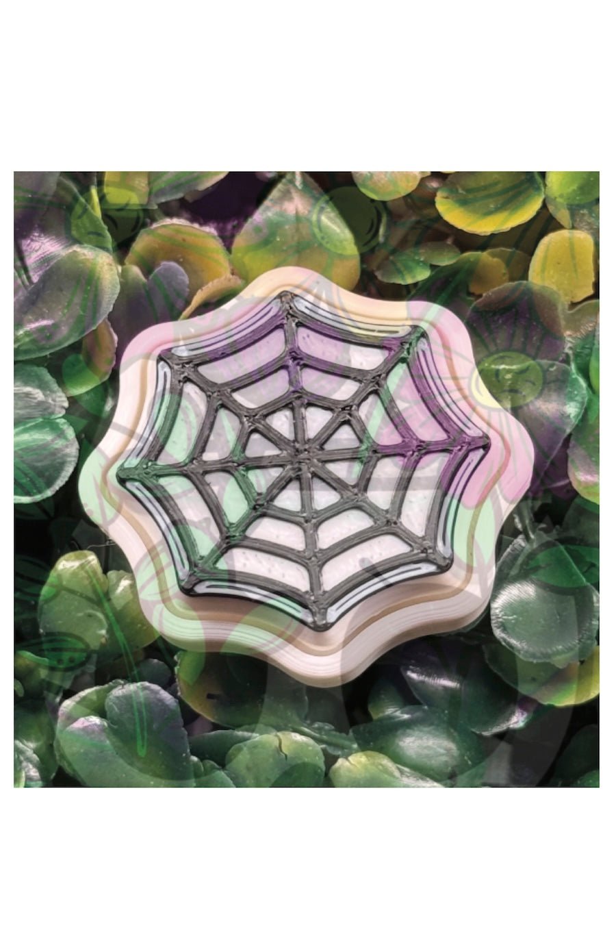 Spider Web Fidget Clicker | Sensory Fidget Toy - Foxy’s