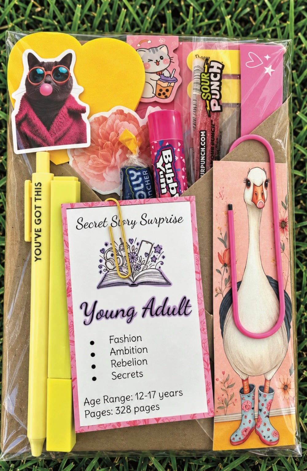 Young Adult Blind Date with a Book - Foxy’s