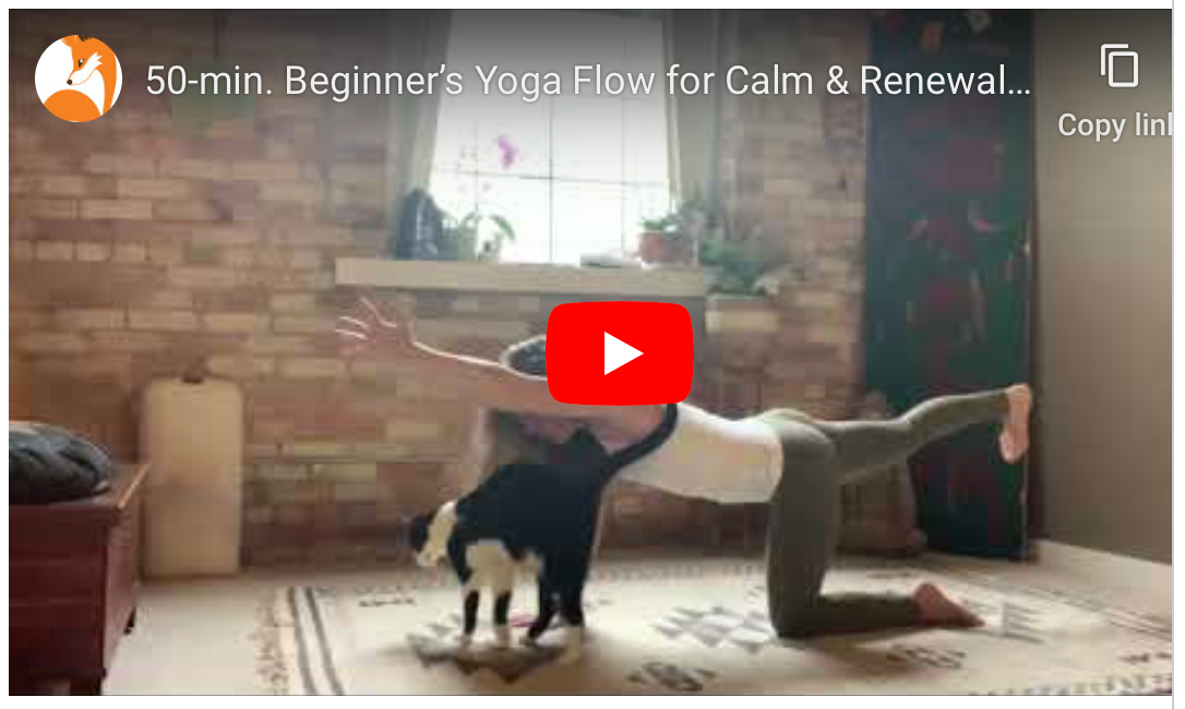 50-min. Beginner's Yoga Flow for Calm & Renewal w/ Jill Fox