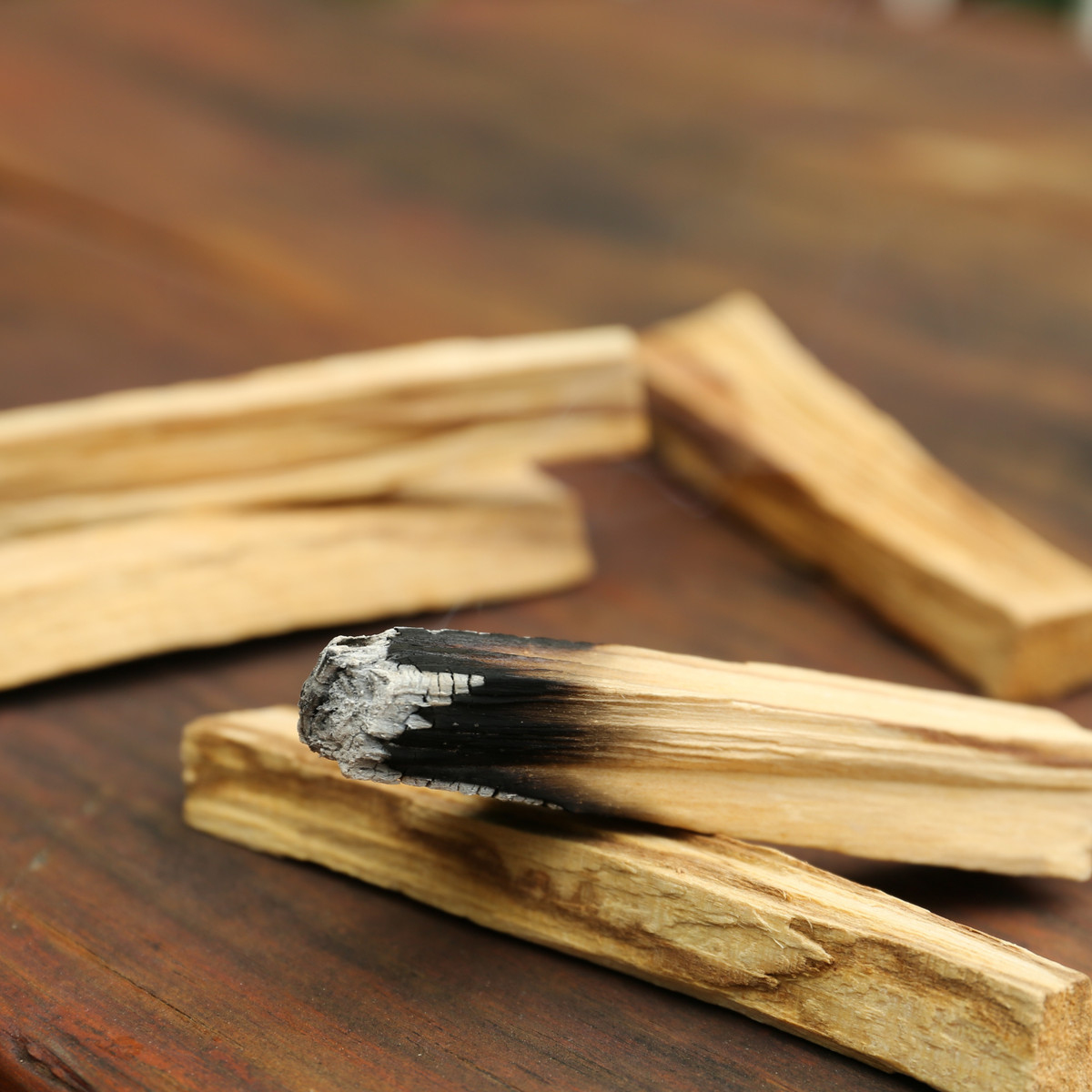 Loose Palo Santo Smudge Burning Stick - Cleansing + Renewal