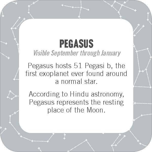 On - the - Go Amusements: 50 Constellations for Stargazing - Foxy’s