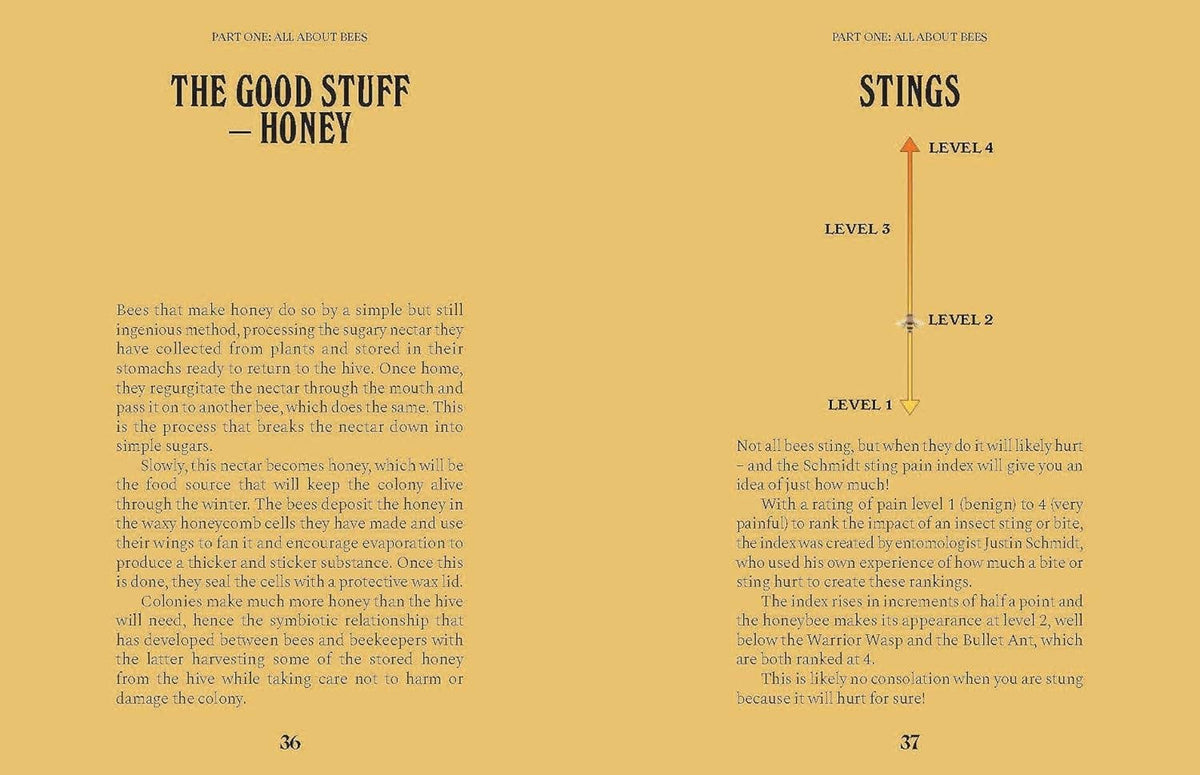 Page from a book or document titled 'The Good Stuff - Honey' with text and a rating scale on a yellow background.