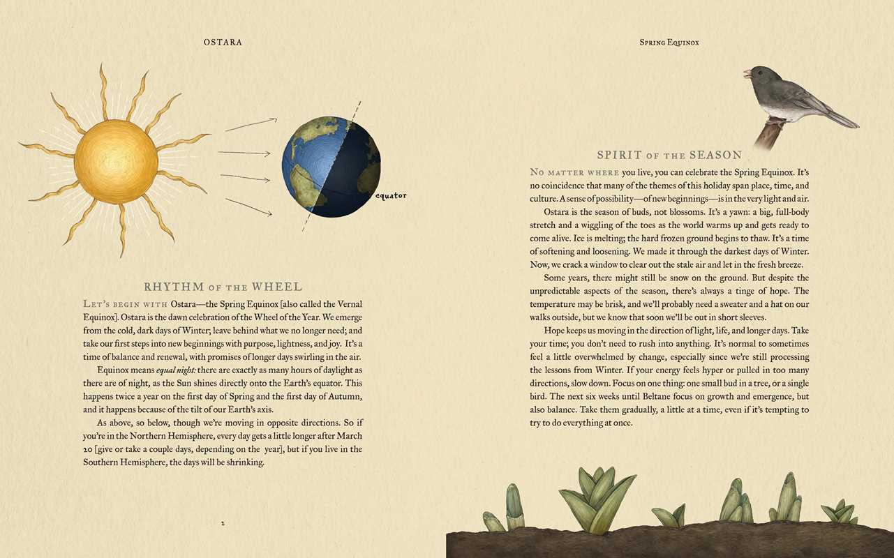 Wheel of the Year by Fiona Book - Foxy’s