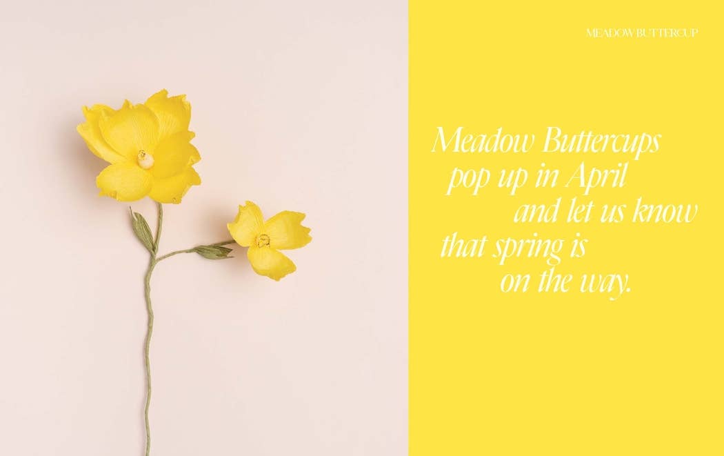 Paper Flowers - Foxy’s