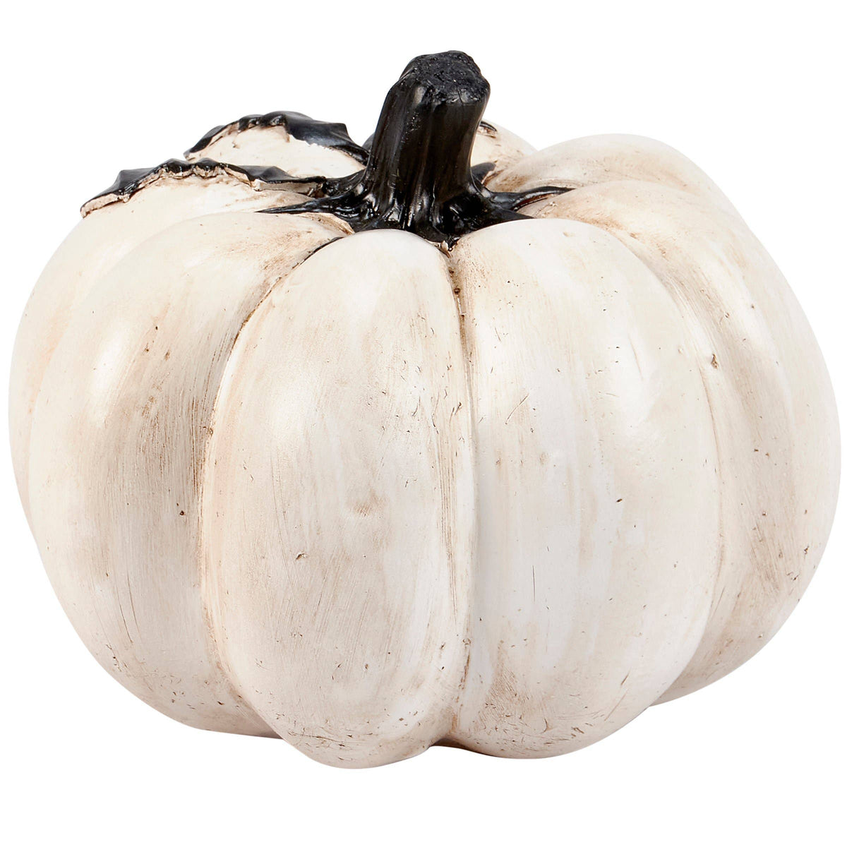 White pumpkin on a white background