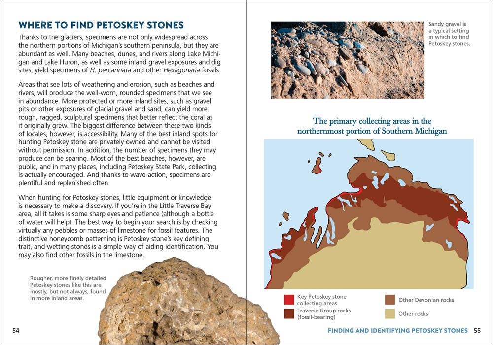 Petoskey Stone Book - Foxy’s