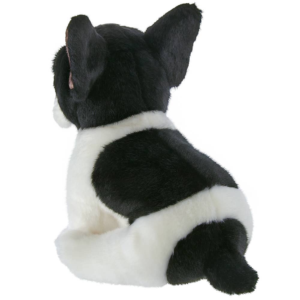 Oliver the French Bulldog | Plushie Stuffed Animal - Foxy’s