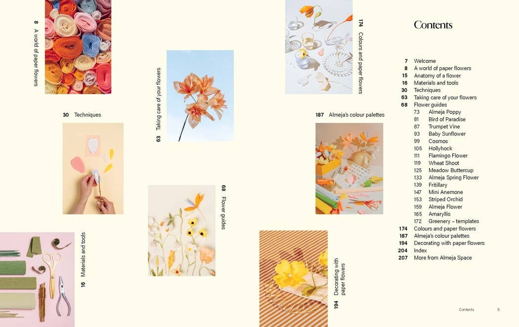 Paper Flowers - Foxy’s