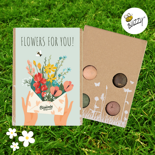 Blossombs Mini Box -Flowers For You- 4 Seed Bomb Balls