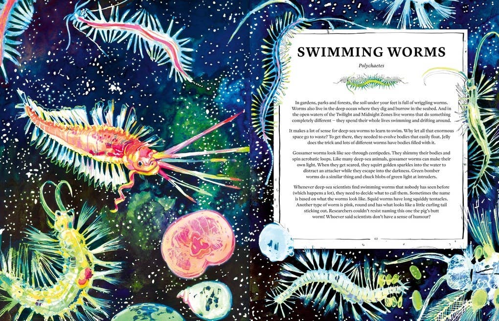 Oceanopedia