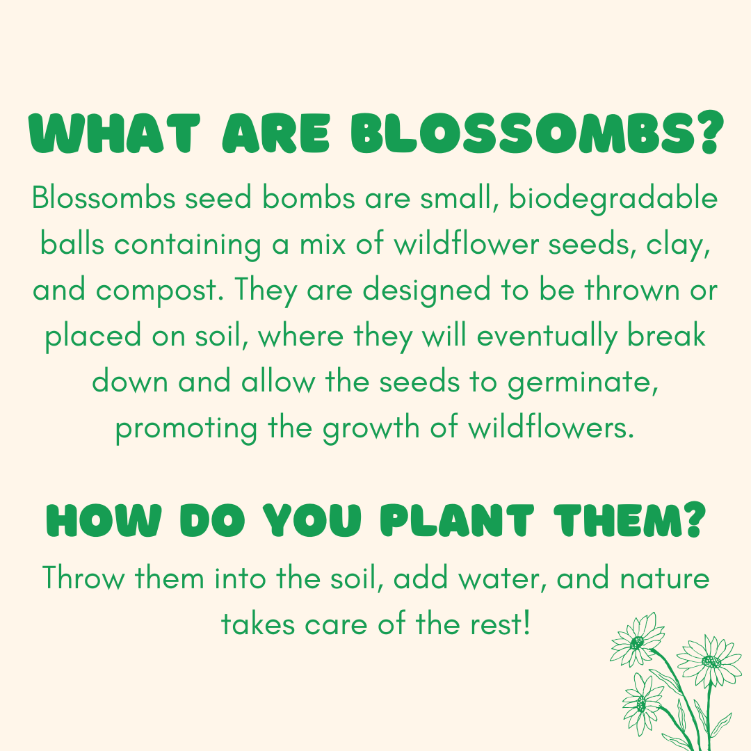 Blossombs Egg Box- Hello Spring- 7 Seed Bomb Balls