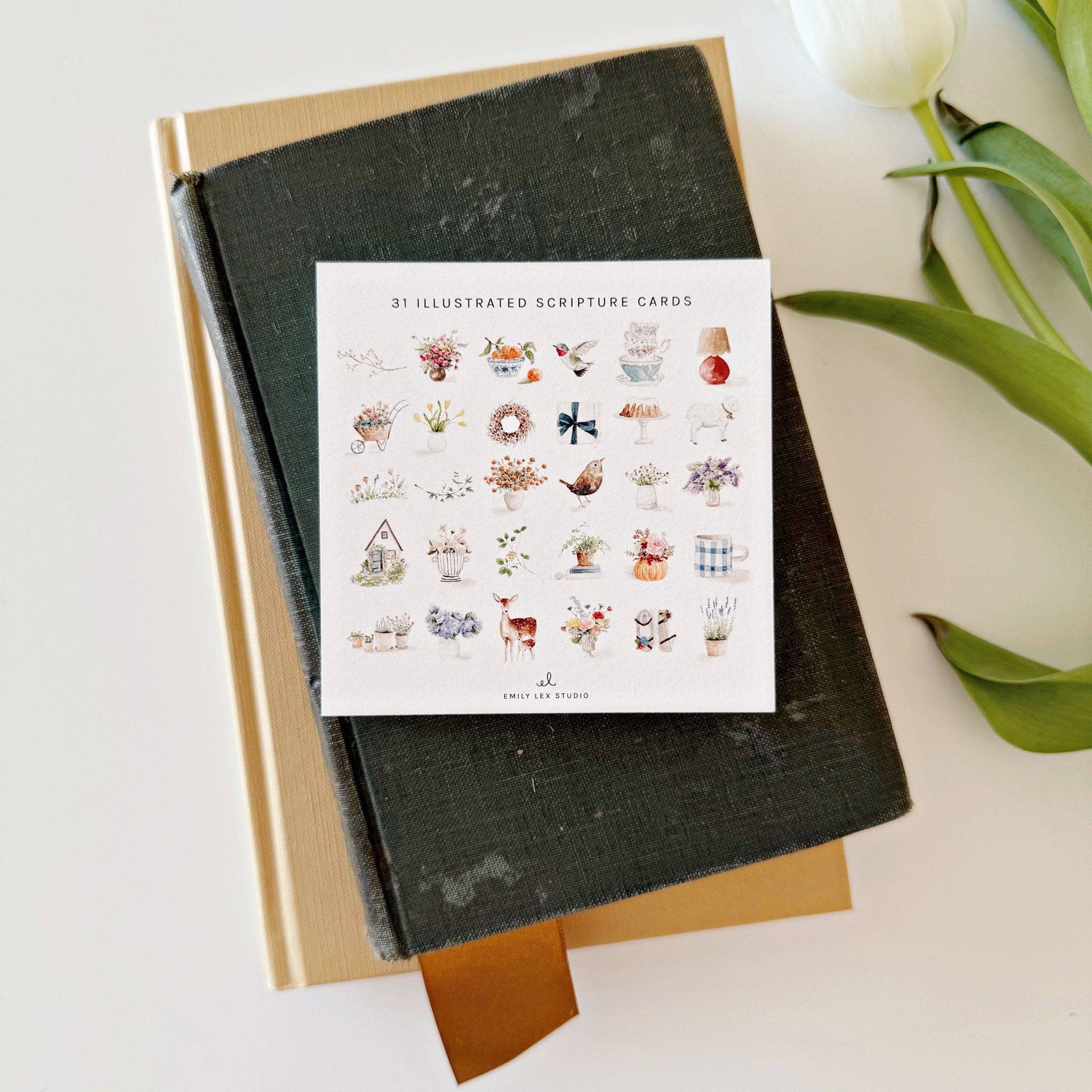 Truth for today psalms cards - Foxy’s