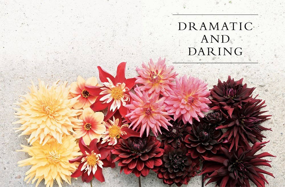 Dahlias; Beautiful Varieties for Home & Garden | Book
