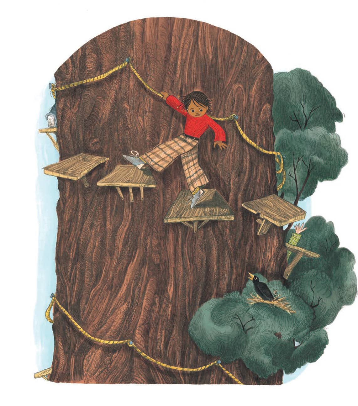 Everything You Need for a Treehouse - Foxy’s