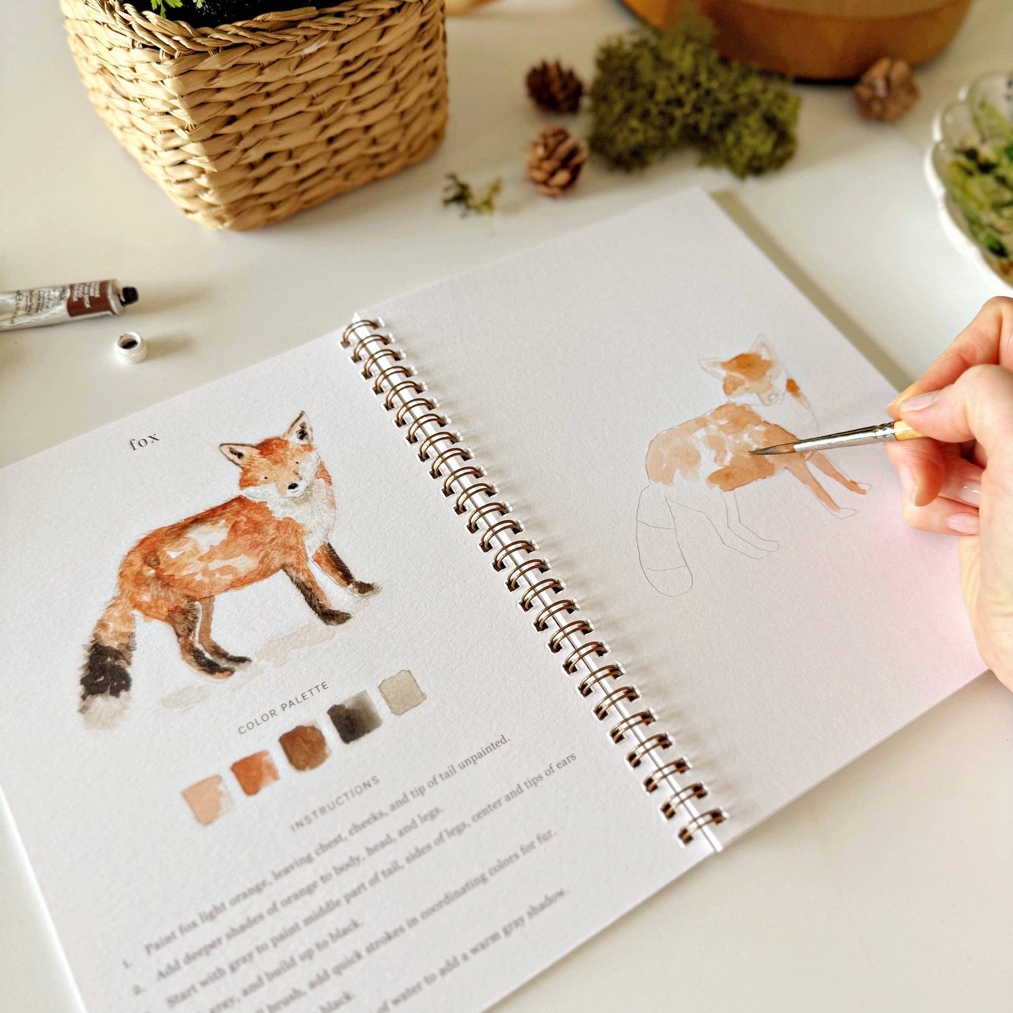 Woodland watercolor workbook - Foxy’s