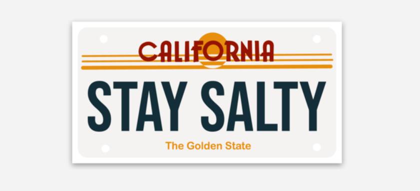Waterproof Salty State Plate Stickers