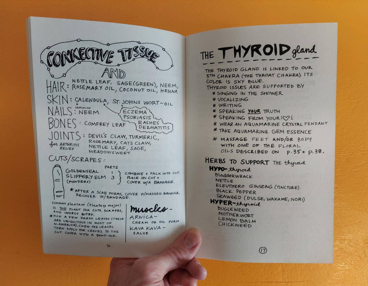 Healing Your Magical Body with Plants & Minerals (Zine) - Foxy’s
