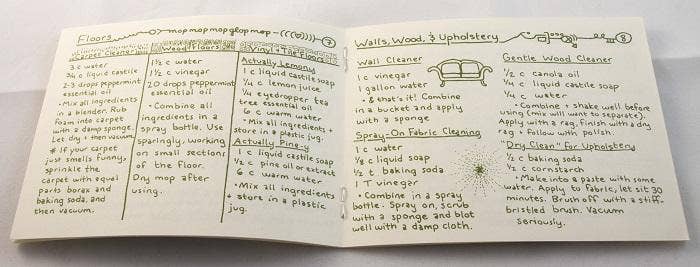 Nontoxic Housecleaning (Zine) - Foxy’s