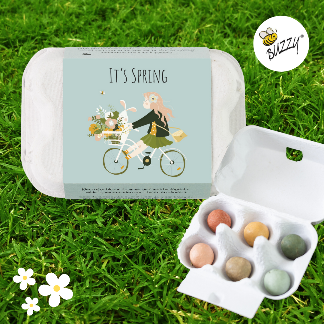 Blossombs Egg Box- Hello Spring- 7 Seed Bomb Balls