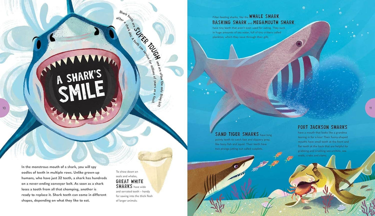 Sensational Sharks | Children's Book