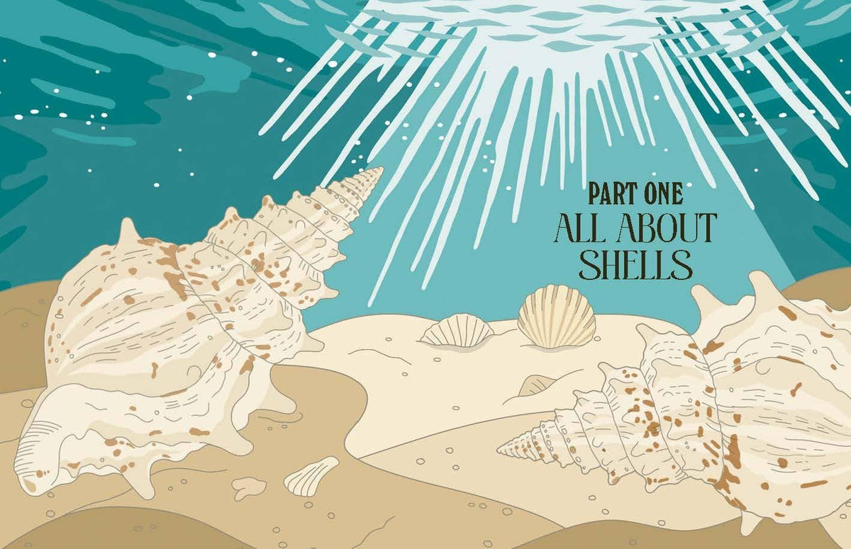 Shells Book - Foxy’s