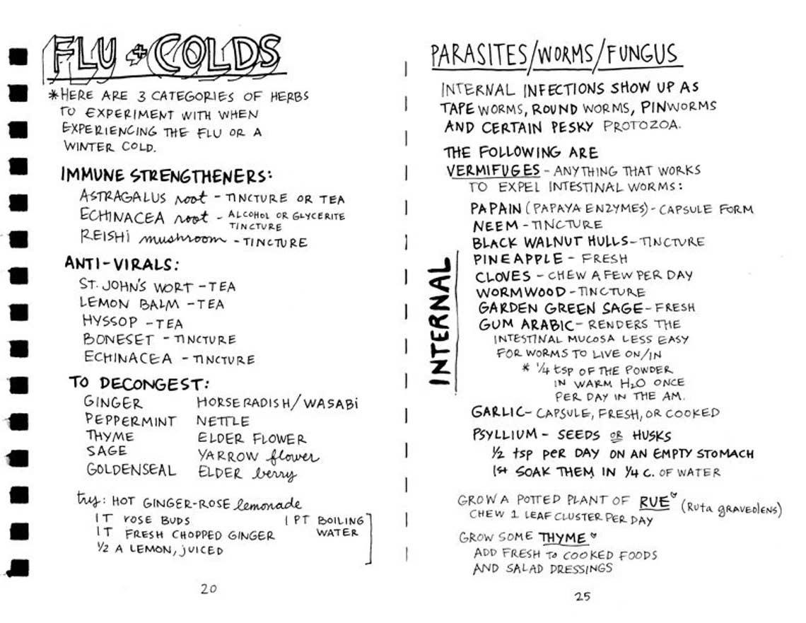 Healing Your Magical Body with Plants & Minerals (Zine) - Foxy’s