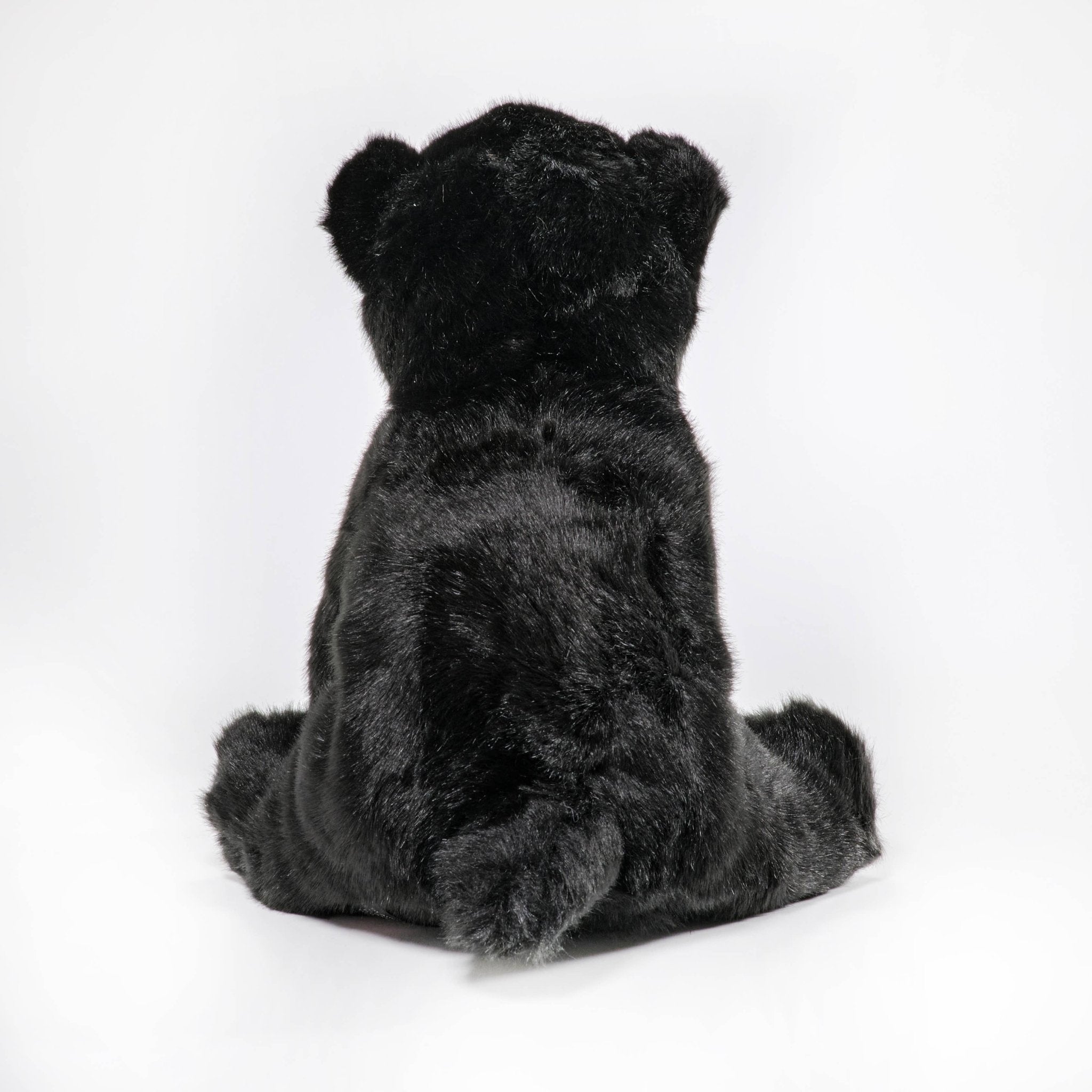 Asher the Black Bear | Plush Stuffed Animal - Foxy’s